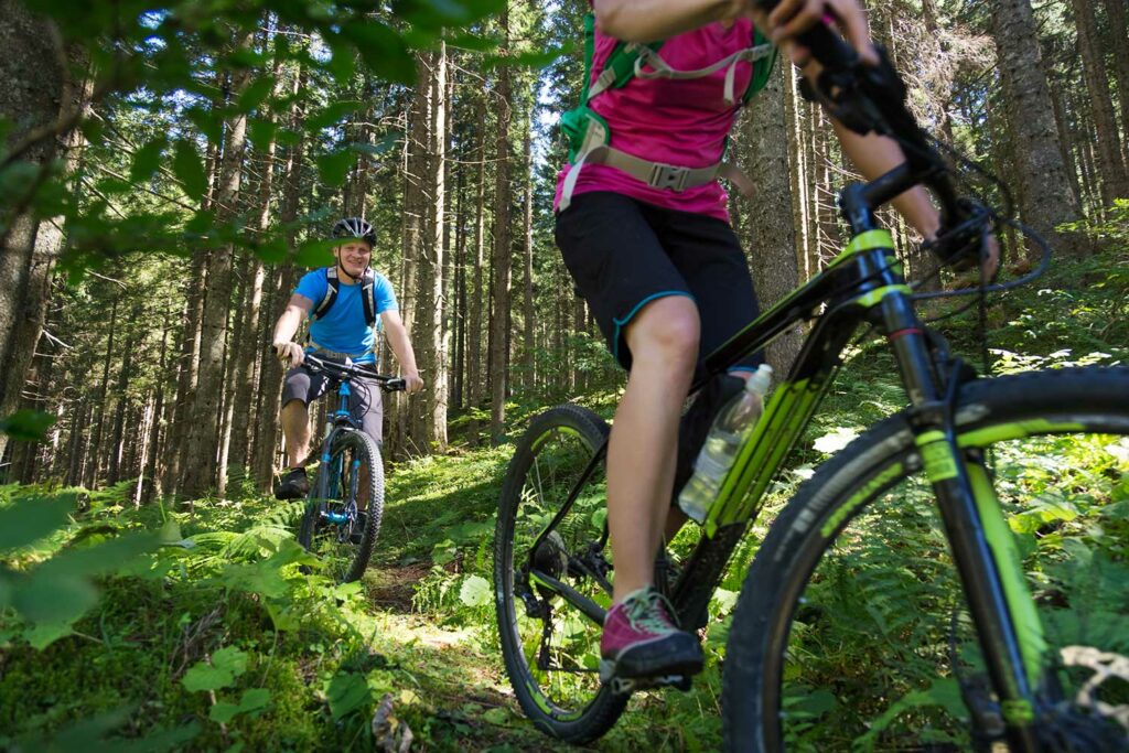 Mit dem Mountainbike den Harzer Wald erkunden