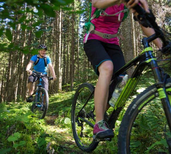 Mit dem Mountainbike den Harzer Wald erkunden