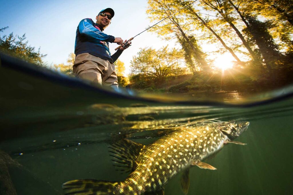 Ein Angler macht Jagd auf einen Hecht an den Klosterteichen Walkenried.