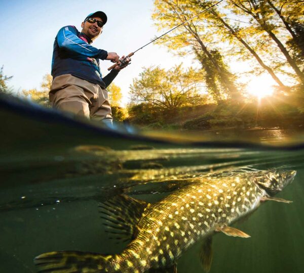Ein Angler macht Jagd auf einen Hecht an den Klosterteichen Walkenried.