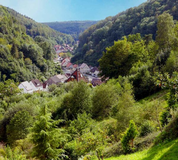 Wunderschön schlängelt sich das Straßendorf Wieda durch das Tal.