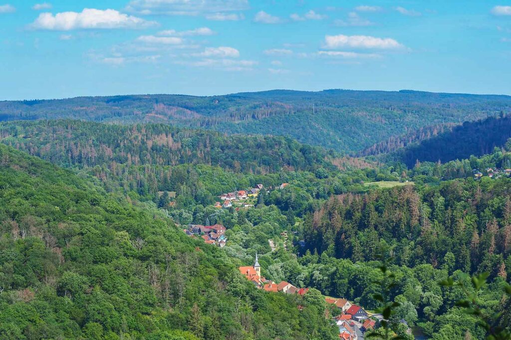 Blick auf den Ort Zorge, der langgestreckt im Tal liegt.