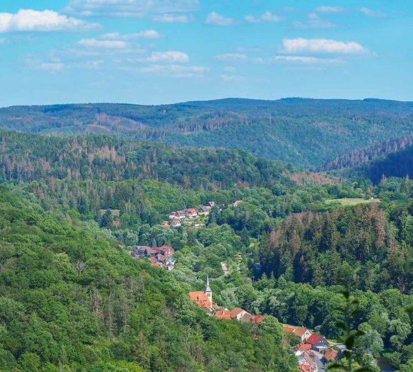 Blick auf den Ort Zorge, der langgestreckt im Tal liegt.