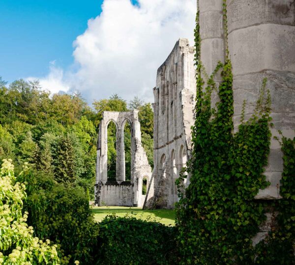 Blick auf die verbliebenen des Zisterzienserklosters Walkenried.