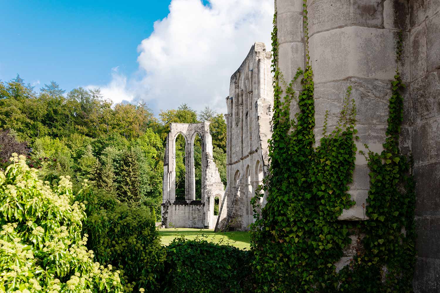 Zisterzienserkloster Walkenried