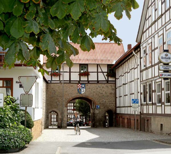 Ortskern von Walkenried