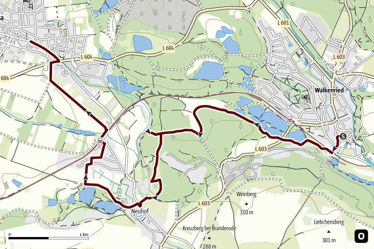 Über den Sachsenstein