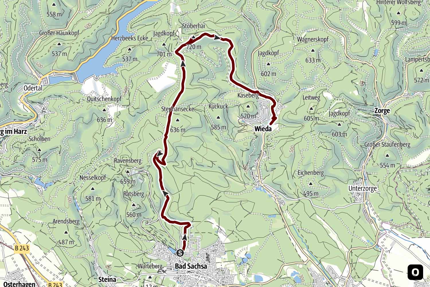 Über den Stöberhai